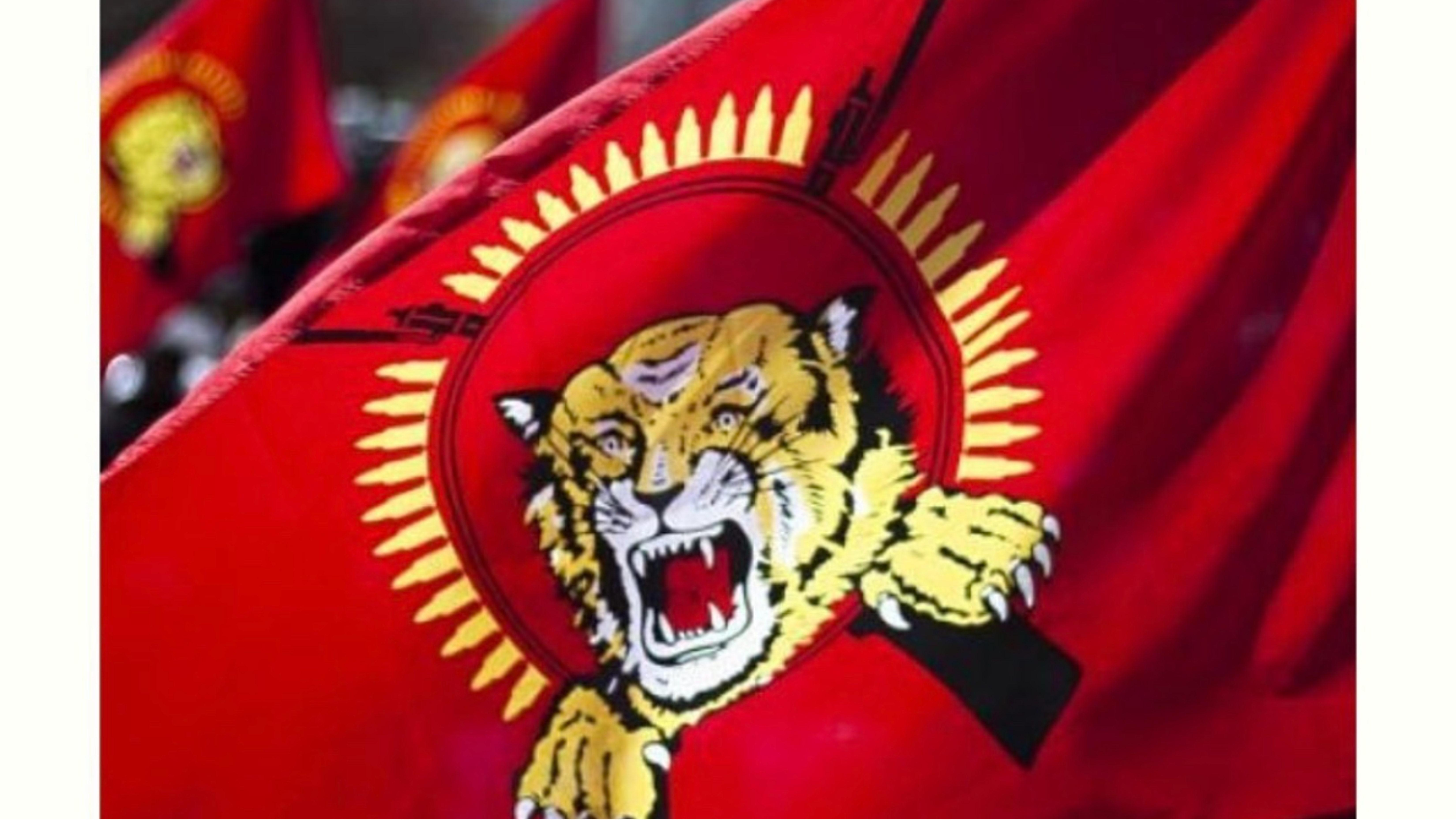 TAMILEELAM Flag